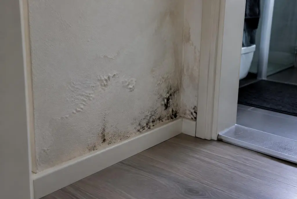 Lekdetectie Bodegraven – vochtplek met schimmel op een muur